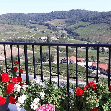 Domaine Du Coteau Des Lys Ξενοδοχείο Fleurie Εξωτερικό φωτογραφία