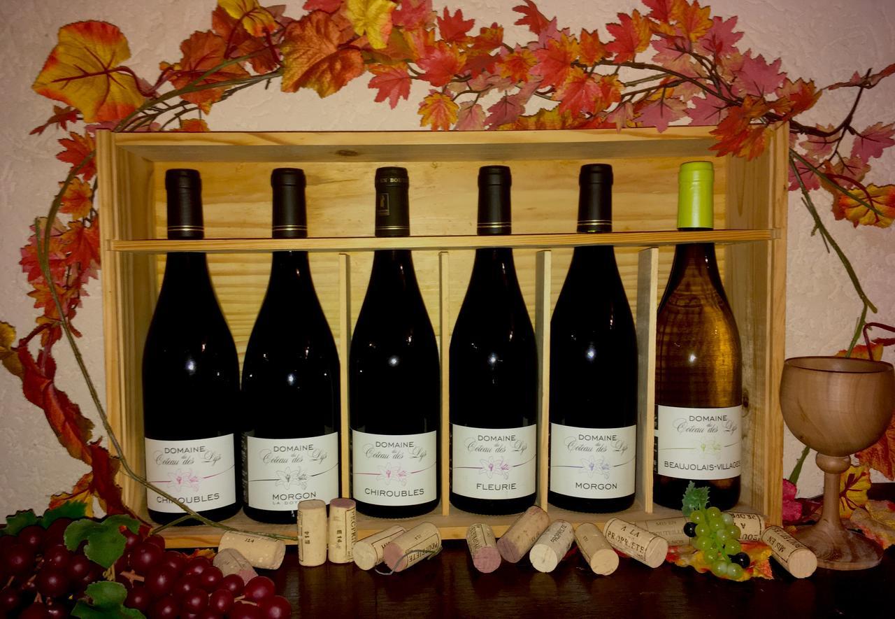 Domaine Du Coteau Des Lys Ξενοδοχείο Fleurie Εξωτερικό φωτογραφία