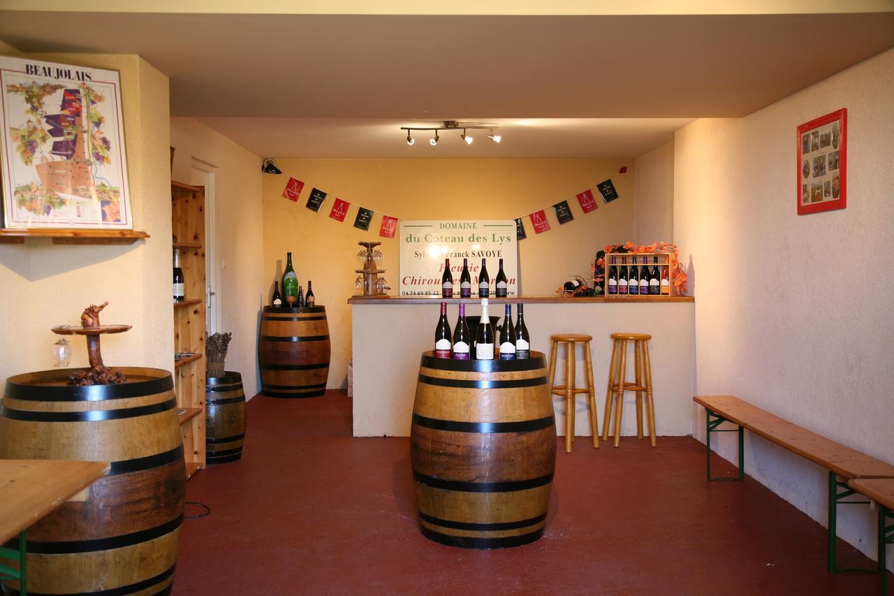 Domaine Du Coteau Des Lys Ξενοδοχείο Fleurie Εξωτερικό φωτογραφία