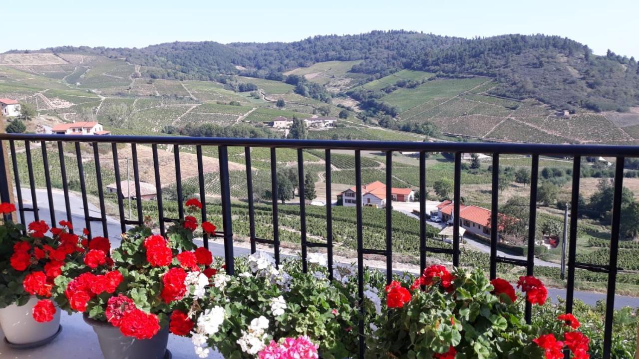 Domaine Du Coteau Des Lys Ξενοδοχείο Fleurie Εξωτερικό φωτογραφία
